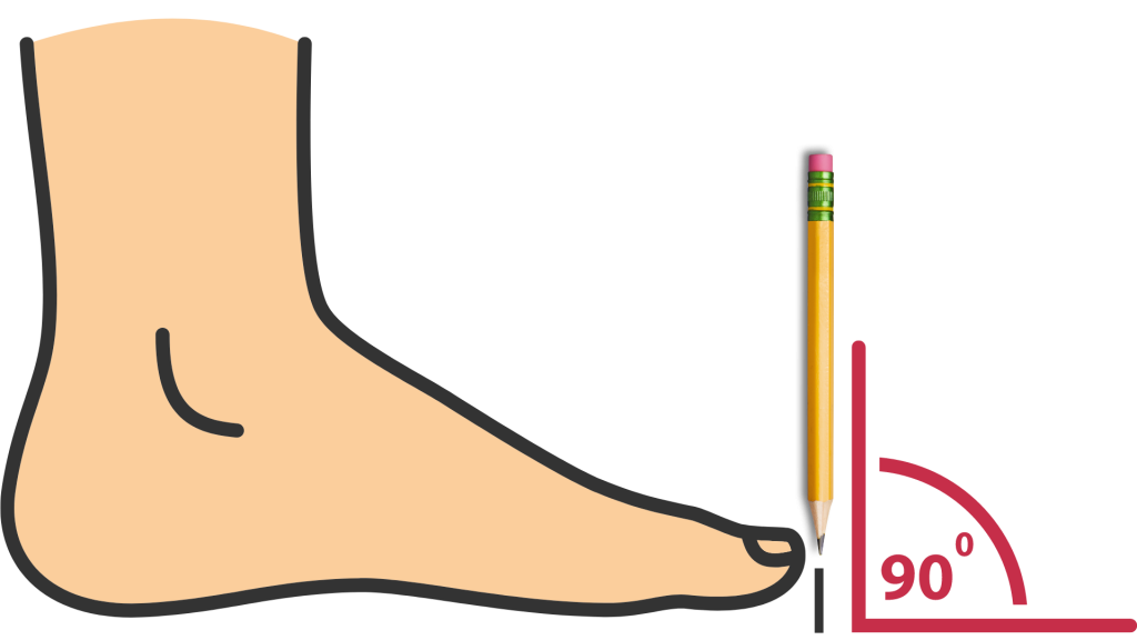 Mesurer votre Pied 1 Comment Mesurer votre Pied en Cm - Tenir le crayon perpendiculaire au sol :)